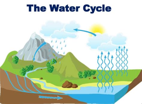 water cycle diagram quiz printable 